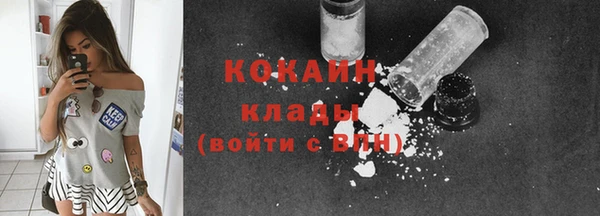 2c-b Богородицк