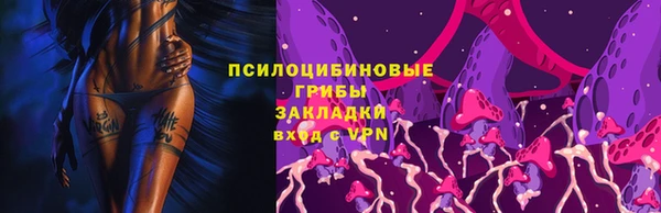 мяу мяу мука Богданович