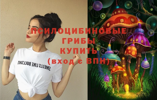 2c-b Богородицк