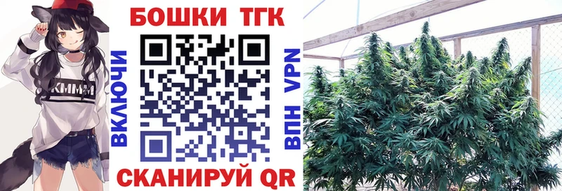 Бошки марихуана сатива  hydra вход  Верхний Тагил  купить закладку 